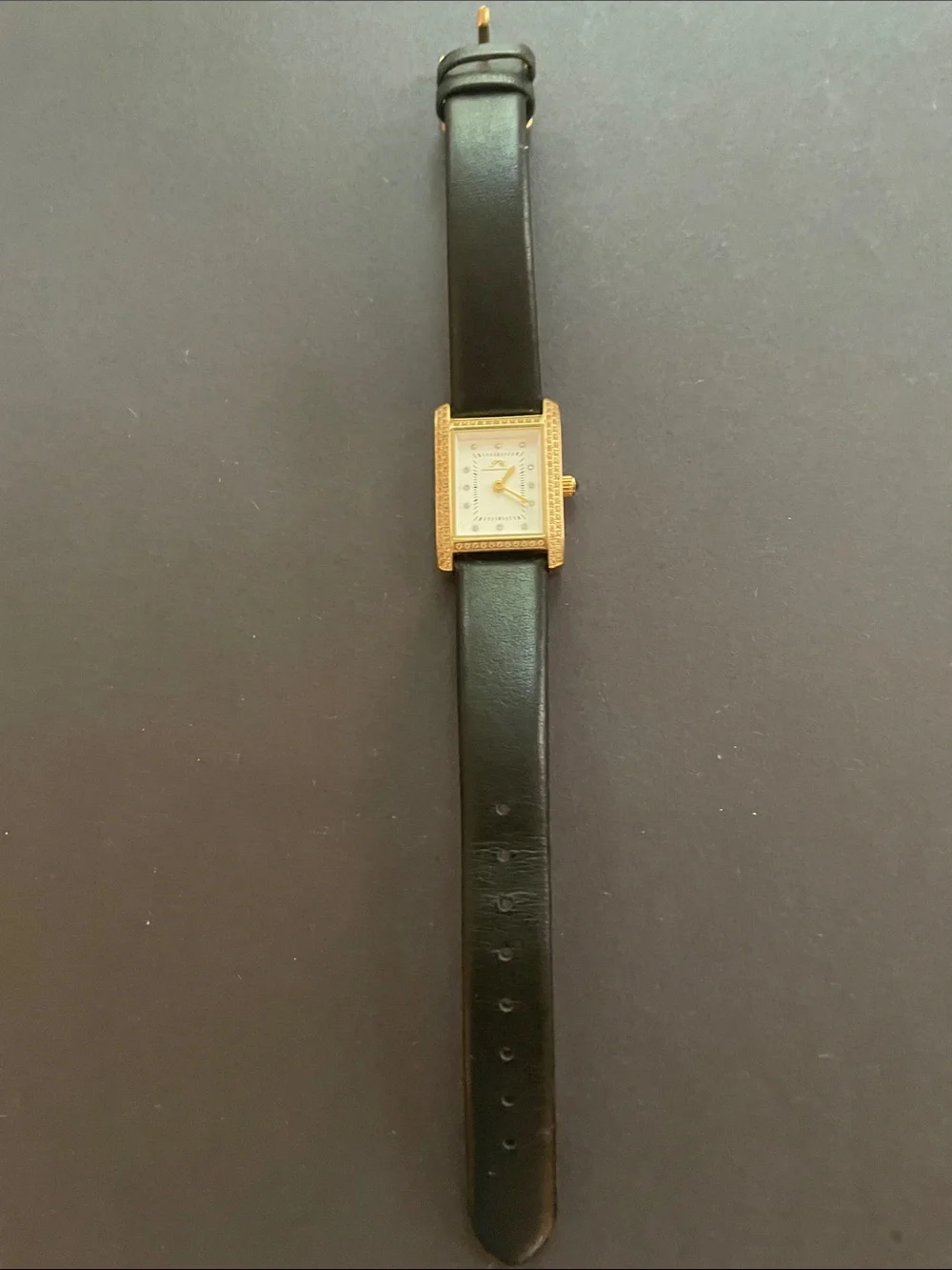 Porsamo Bleu Black Leather Strap Watch with Gold Case